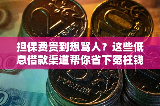 济南担保费贵到想骂人？这些低息借款渠道帮你省下冤枉钱