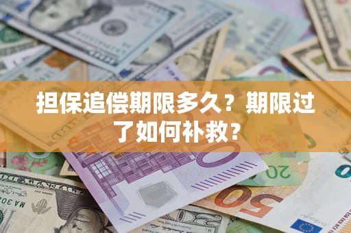 济南担保追偿期限多久？期限过了如何补救？