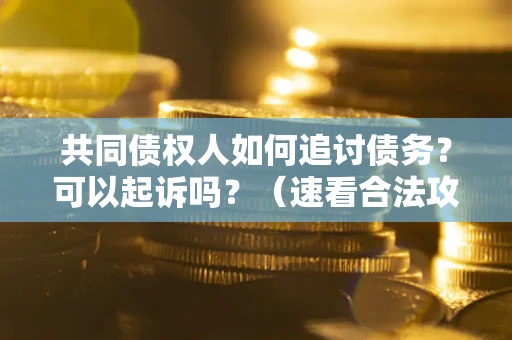 济南共同债权人如何追讨债务？可以起诉吗？（速看合法攻略）