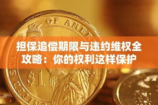 济南担保追偿期限与违约维权全攻略：你的权利这样保护