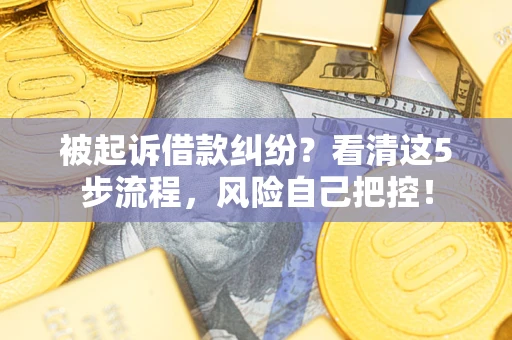 济南被起诉借款纠纷？看清这5步流程，风险自己把控！